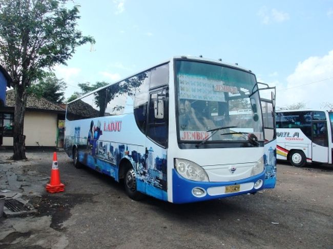 バリ コモド ジャワ東部旅行記 バスでジャワからバリへ ジャワ島 インドネシア の旅行記 ブログ By Dra66さん フォートラベル