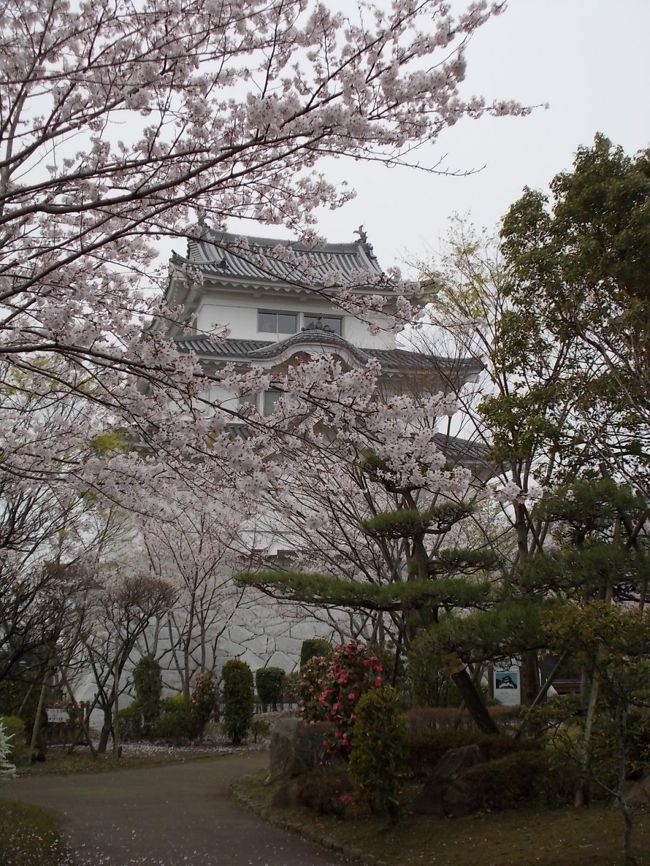 春の関宿城博物館