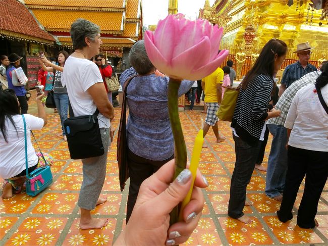 お花を買いました。