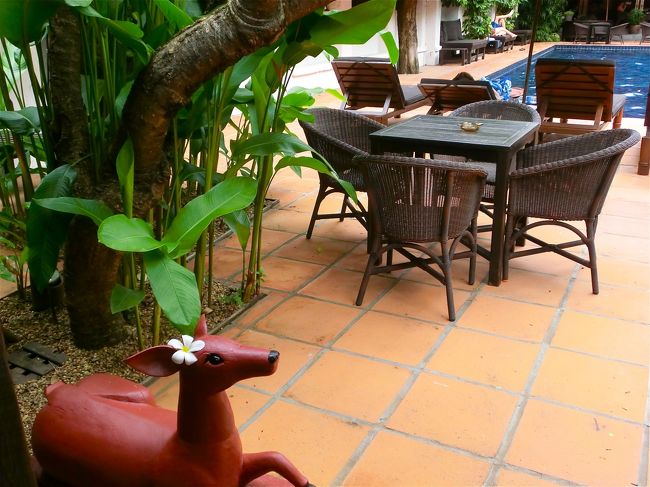 本物のプリメリアのお花だよ。