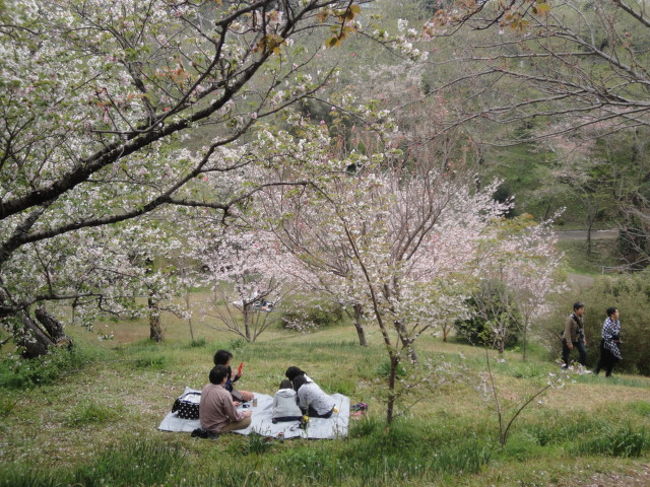部分部分で綺麗な場所