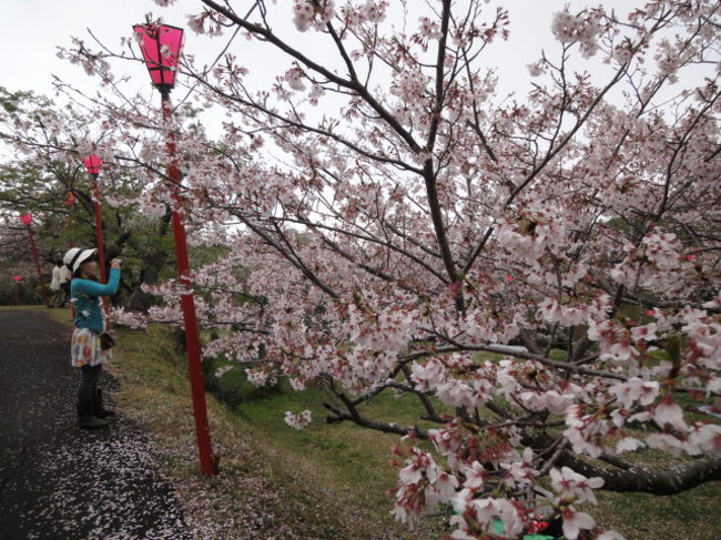 この辺りが一番きれいかな