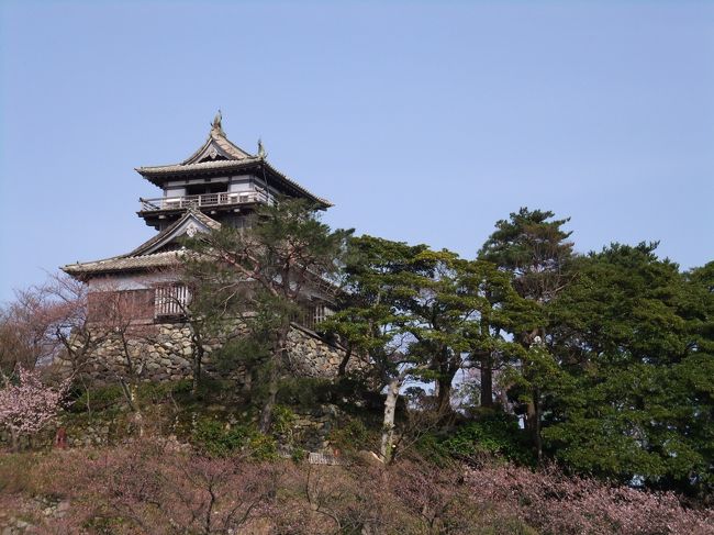 バス停近くから望む丸岡城。桜の開花はもう少しですが、なかなかきれいです。
