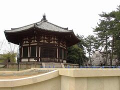 この桜の近くには、「北円堂」がありました。
3歳から奈良に住んでいますが、実際に見たのは、今日が初めて！

工事用の柵のすき間から撮ったので、ちょっと傾いてるかな？