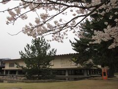 でも、もうこの桜しか無い予感がしたので、何か撮ってみることにしました。
木の下から見た、国立博物館の新館。
正倉院展が毎年秋に開催されている場所です。
15年ぐらい前に一度だけ見に行ったことがあります。