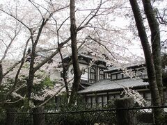 大仏殿の交差点から近いところにあるのですが、最後に立ち寄ってみたかったのが、この建物と桜。
あか〜ん、桜と空が同化してる…。