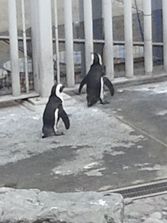 新しく海ファームが誕生 なんと危険なお土産売り場 無事に帰れるのか 日本一大きな水族館 横浜八景島シーパラダイス ショーが良かった 横浜探索 八景島 神奈川県 の旅行記 ブログ By ねこにゃんさん フォートラベル 新しく海ファームが誕生 なんと危険なお土産売り場 無事に帰れるのか 日本一大きな水族館 横浜八景島シーパラダイス ショーが良かった 横浜探索 八景島 神奈川県 の旅行記 ブログ By ねこにゃんさん フォートラベル