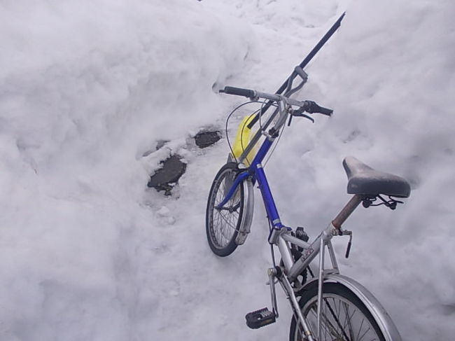 ニコニコに冬の稚内自転車