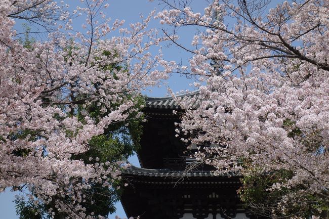 近鉄奈良駅から東向商店街を抜け三条通を東へ。<br />