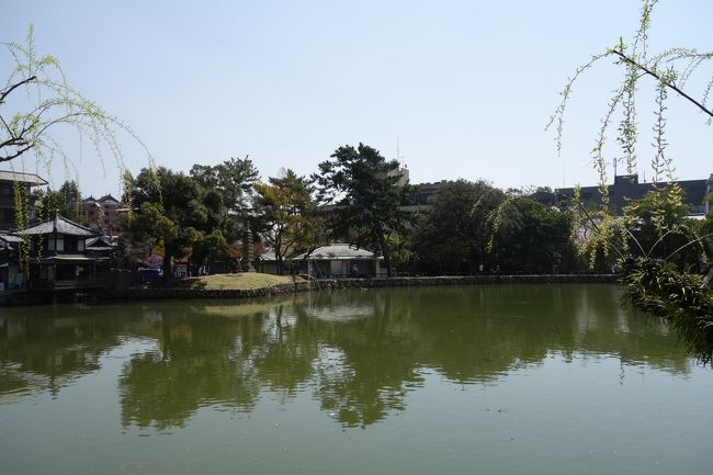 猿沢池の七不思議<br /><br />澄まず<br />濁らず<br />出ず<br />入らず<br />蛙はわかず<br />藻は生えず<br />魚が七分に水三分<br />