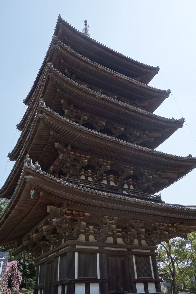 興福寺の五重の塔<br /><br />ホームページ　http://www.kohfukuji.com/