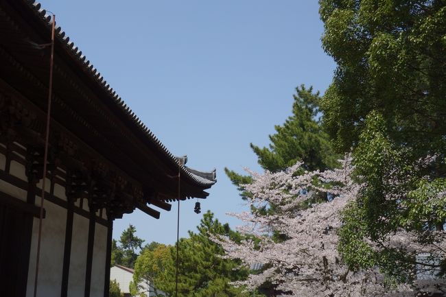 今日は快晴。<br /><br />明日は春の嵐が来ると言う事で、<br />急遽奈良行き決めました。