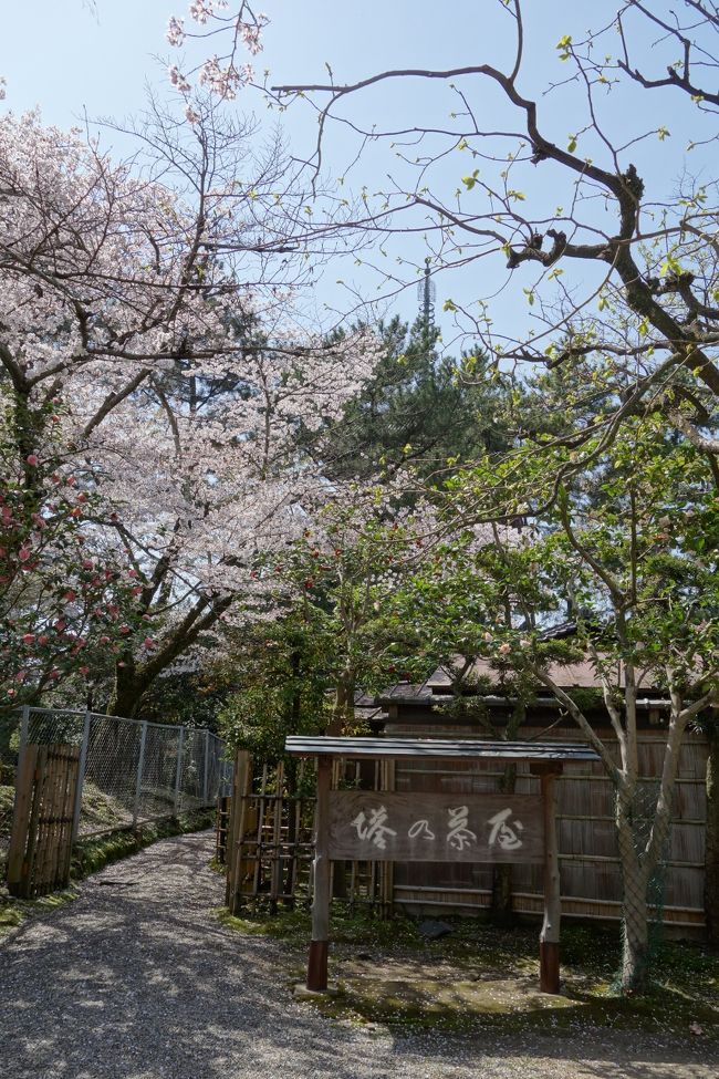 茶屋も風情あります。