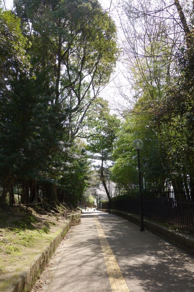 浮見堂へ向かいます。<br /><br />散歩が楽しい。