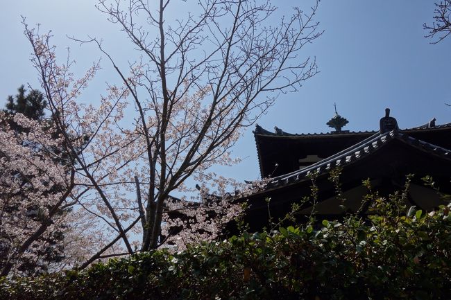 美しい風景がバンバン目に入ってきます。