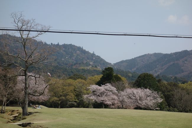 広々してます。