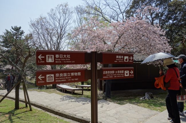 春日大社へ向かいます。