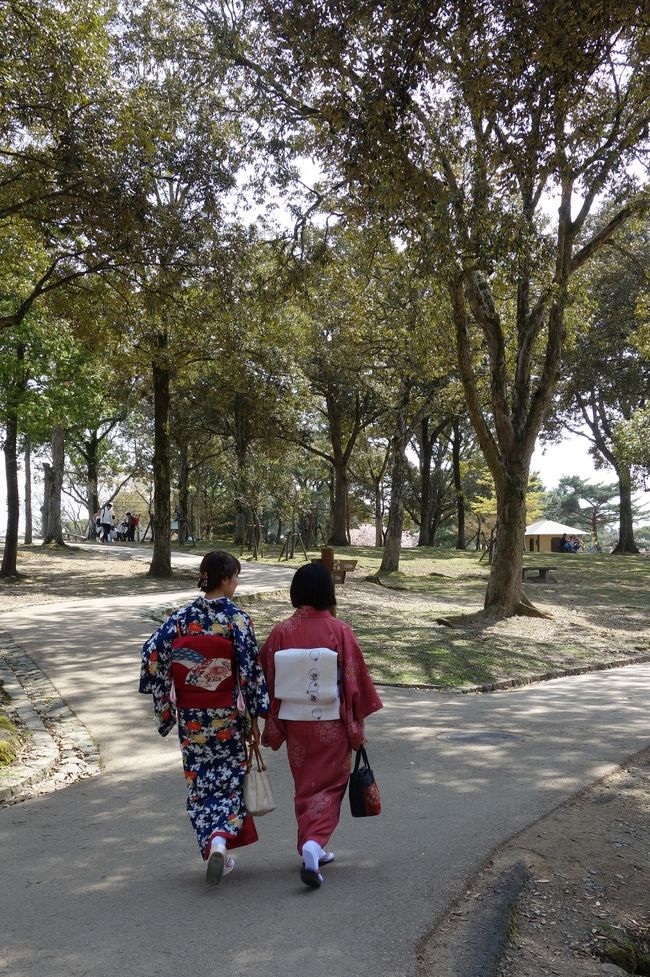 かわいい着物姿。