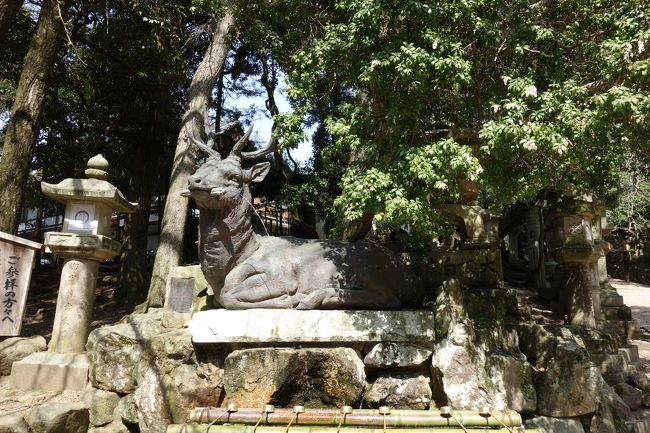 ここでも鹿！<br /><br />手を清めます。