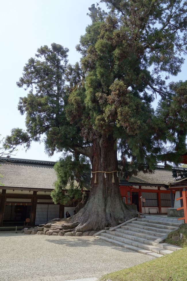 神が宿っています。