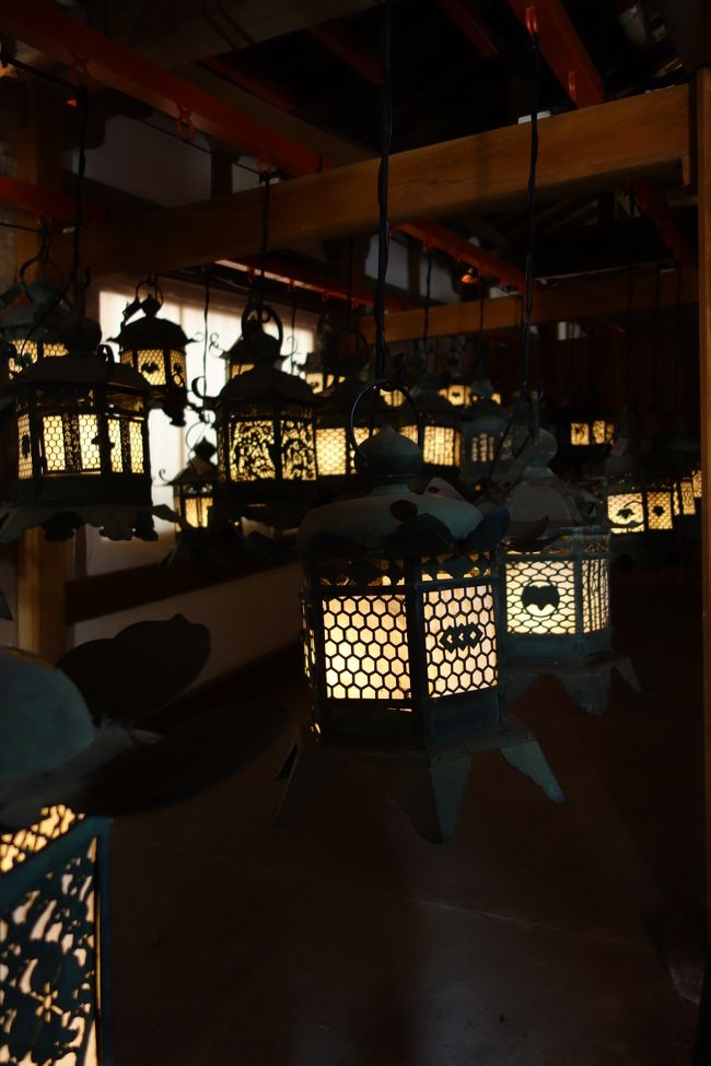 灯篭ってやっぱり暗い所で見たいですよね。