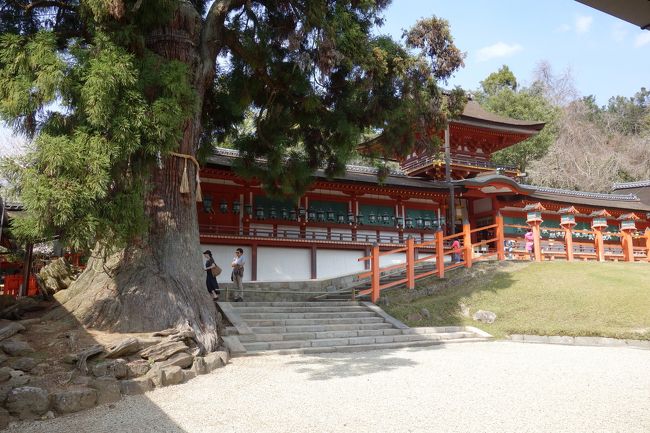 春日大社の本殿