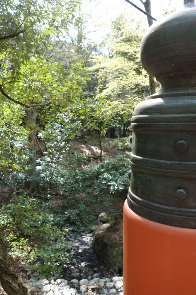 水のせせらぎが聞こえていました。