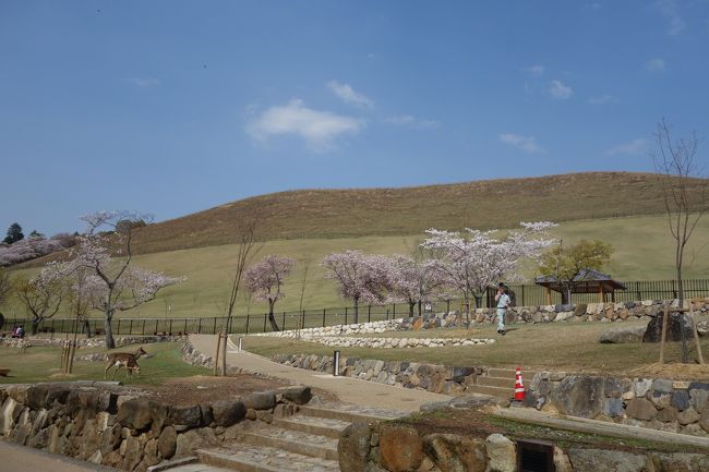 若草山、久しぶり。<br /><br />昔バイトしてた親戚の食堂はシャッター下りてました。<br /><br />