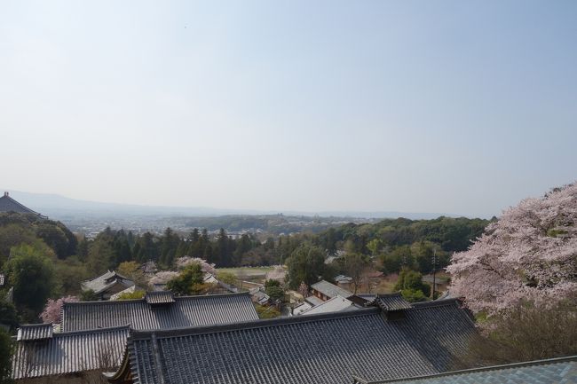 二月堂から見た奈良市内