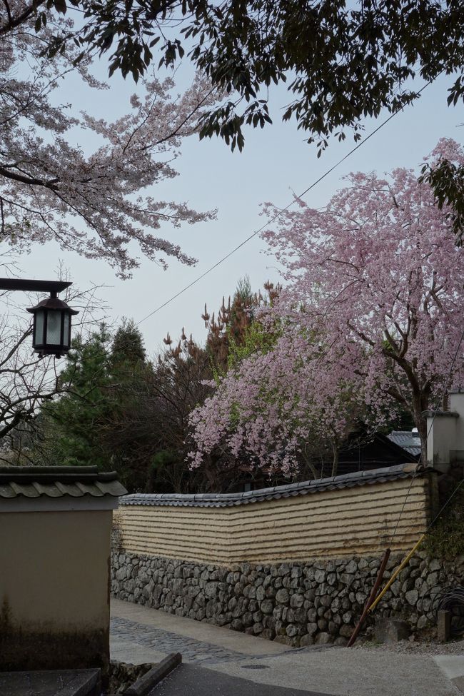 二月堂から東大寺へ向かいます。