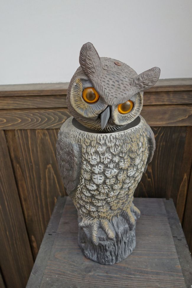 なんとなく可愛かったフクロウの置物