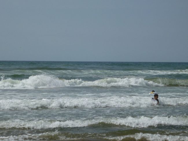 結構波が高いので驚きました。