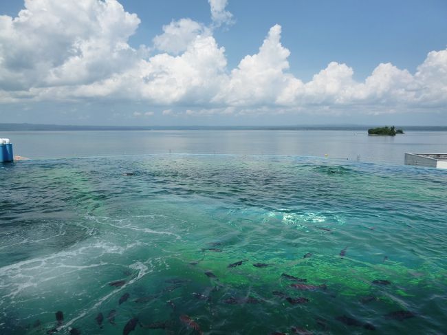 外国のリゾートのプールのように海と一体化しています。