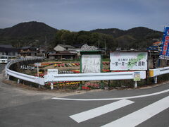 向田登山口　大平山（たいへいさん）標高 267.5ｍ迄　1.7Ｋｍ　約50分
ハイキングコースも整備されている。

佐木島全体で、一家一年一木一花運動をされてるそうで、島のあちらこちらで
きれいに手入れされた花壇が見られた。