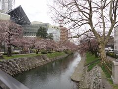 市役所の後は富山城址公園へ！
桜はあと1週間後くらいかな？という感じでした。