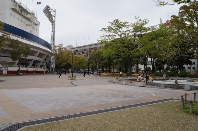 関内のオフィス街の真ん中にある 横浜公園の見事なチューリップ 横浜 神奈川県 の旅行記 ブログ By ぬいぬいさん フォートラベル