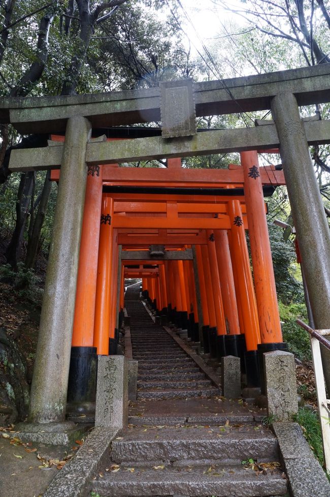 桜散る雨の京都 街歩き 伏見 京都 の旅行記 ブログ By ぬいぬいさん フォートラベル
