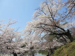 下に鷺池が見えてきました。