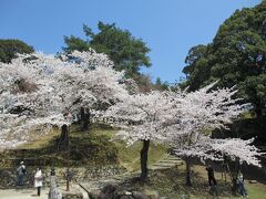 片岡梅林のほうへつながる階段です。
今日は、ここから下りてきました。