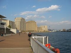 兵庫県立美術館に隣接する海沿いの公園「なぎさ公園」も安藤忠雄氏が設計されたそうです。