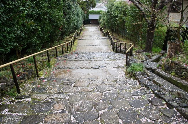 登って行きます。秋にはこの石段の両側に萩が咲いて、きれいなんです。観光客も、その頃が一番多いですね。