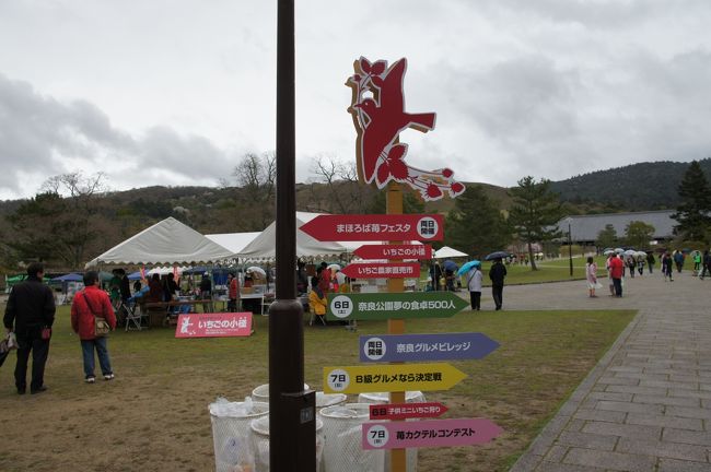 雨でも、食関係のイベントをやっていました。