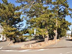 御穂神社参道が美保の松原駐車場から伸びてます
