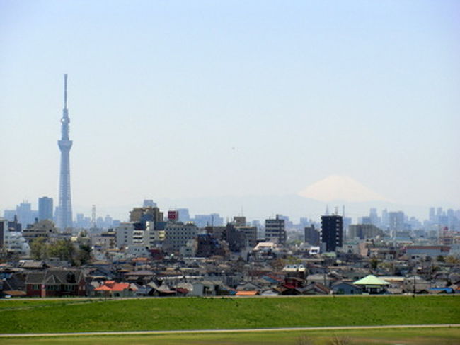 清々しい青空のもと 東京スカイツリーと富士山を見に市川プチ ドライブ 市川 千葉県 の旅行記 ブログ By Hot Chocolateさん フォートラベル