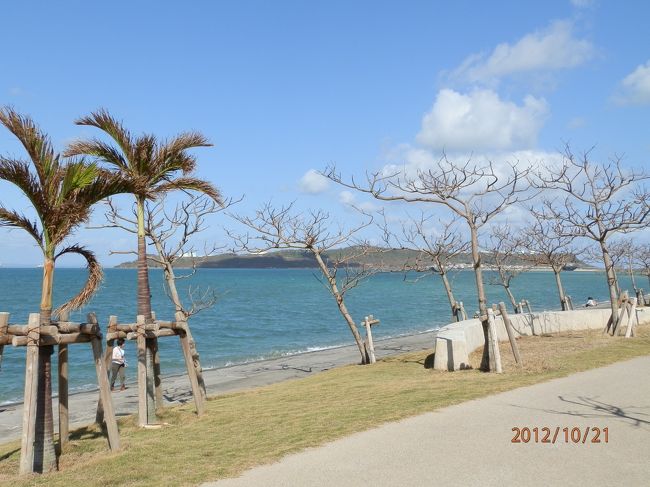 パーキングエリアの景色。<br />南国ムード漂います。