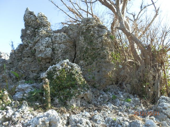 小さな丘に見どころ満載です。