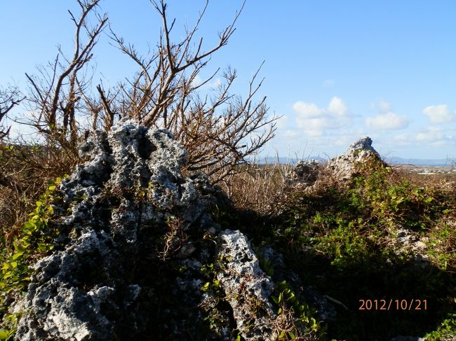 龍神の神様のパワースポットということです。
