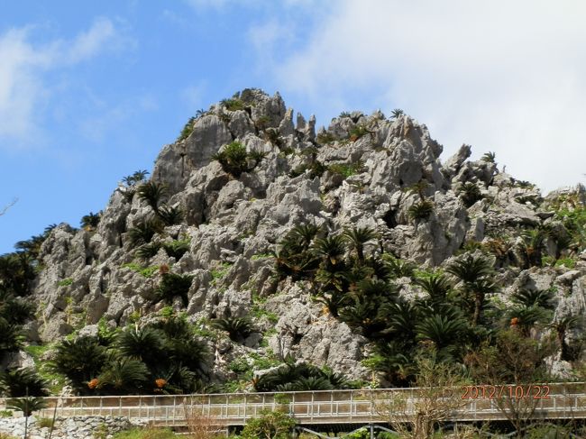 古生代の石灰岩が長い歳月をかけて、雨水などにより浸食されてできた地形です。