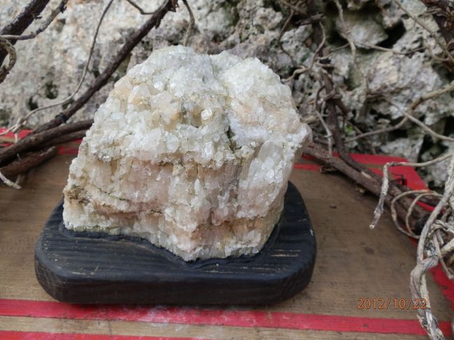 めっちゃ、なでなでしました。<br />パワーをくださーい。