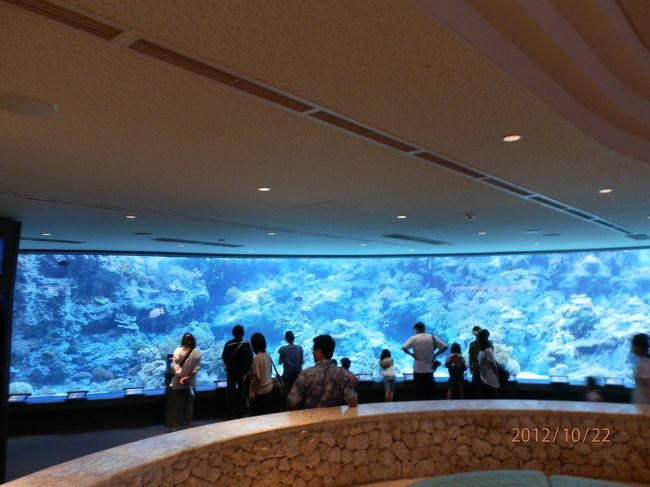 エントランスから素敵。<br />期待が高まります。